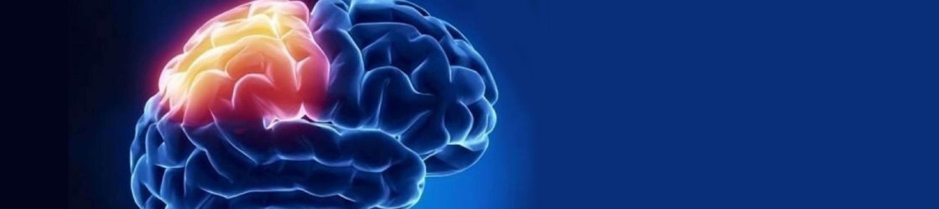 Stem cell therapy could help accelerate healing after traumatic brain injury.