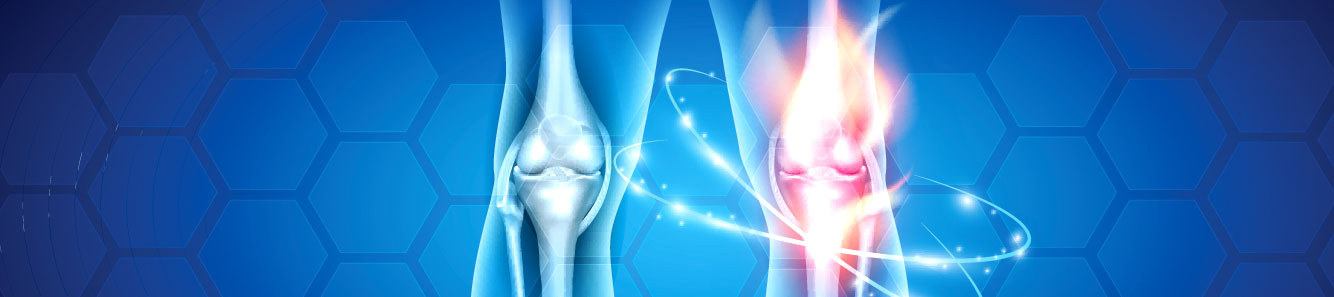 Stem Cell Applications